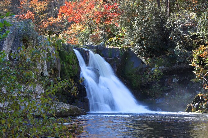 Cades Cove Sightseeing Self-Guided Driving Audio Tour - Meeting and Pickup Information