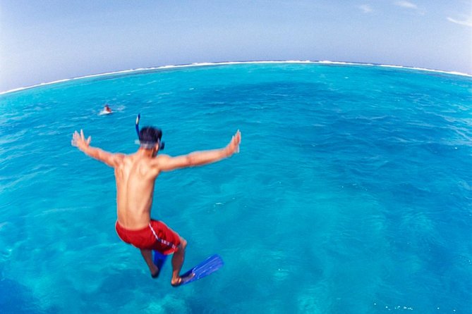 Cades Reef Snorkel Cruise From St. Johns Antigua - Activity Overview