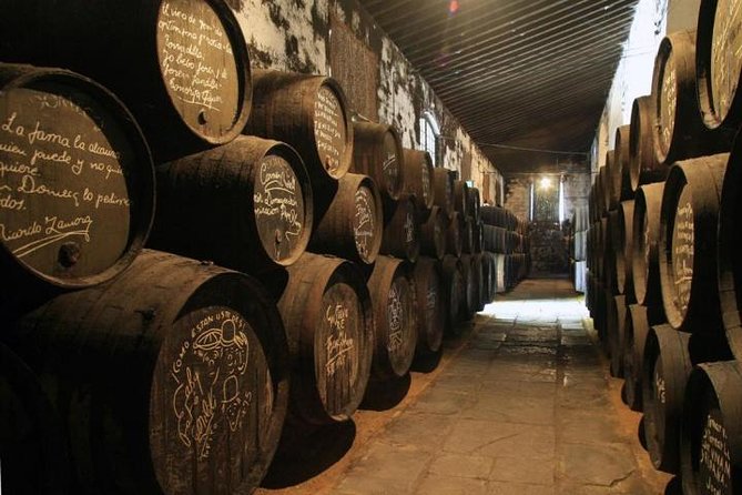 Cadiz and Jerez Day Trip From Seville - The Sum Up