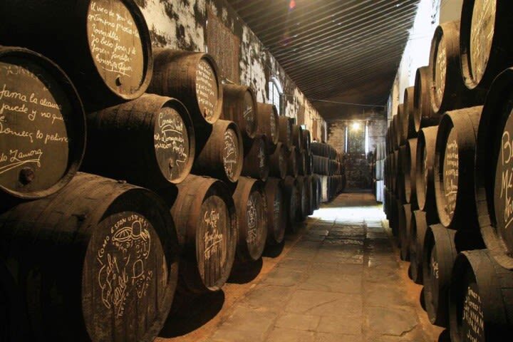 Cadiz and Jerez de la Frontera one-day tour from Seville - Jerez: a city shaped by sherry