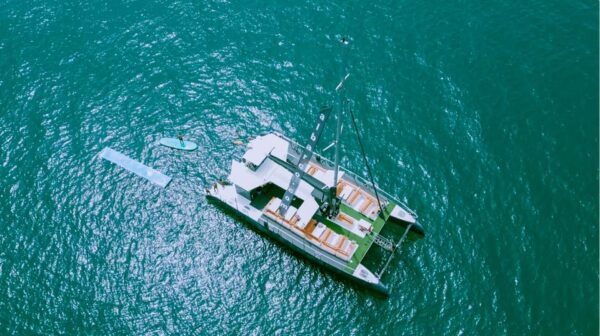 Cadiz Capital: Catamaran Experience - Cruise With Swimming - Meeting and Restrictions