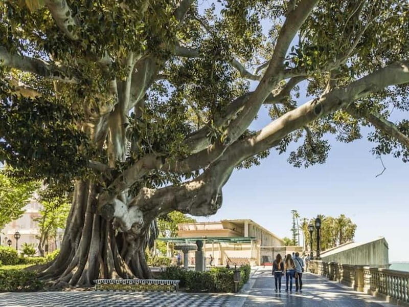 Cadiz: Enigmas City Tour - Is This Tour Worth It?