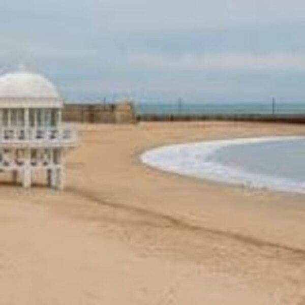 Cadiz Full-Day Guided Excursion From Seville - Included and Optional Services