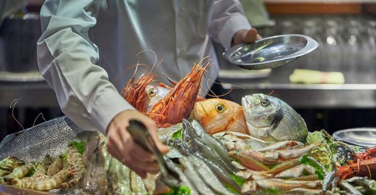 Cadiz: Private Tour With Tapas, Wine Tasting and Bike Rental - Tour Highlights