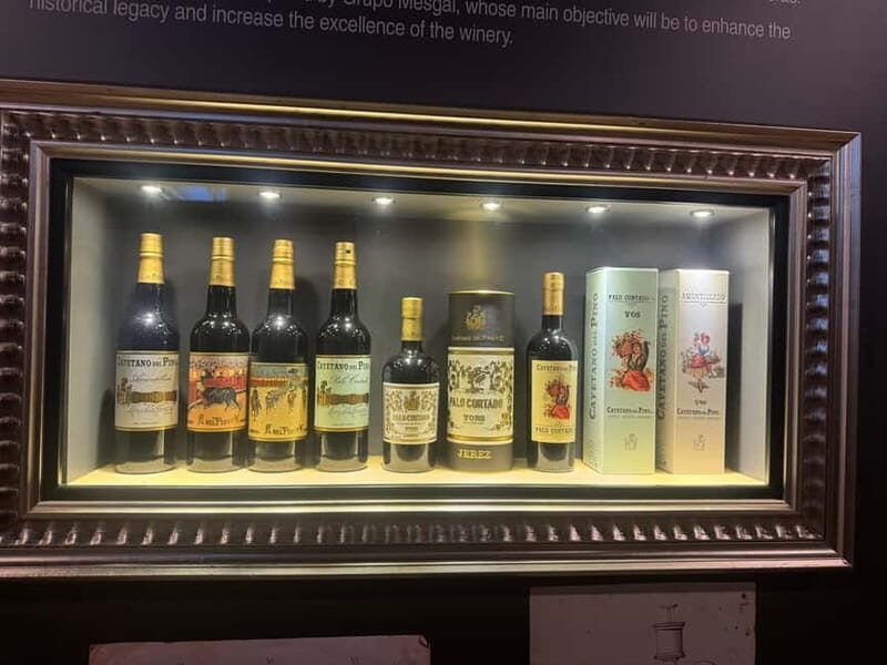 Cadiz: Private Tour with Wine Tasting - Who Should Consider This Tour?