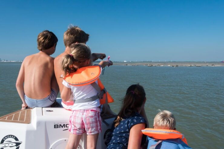 Cadzand: Seal Discovery Boat Tour With Glass of Champagne - Experience the Seals