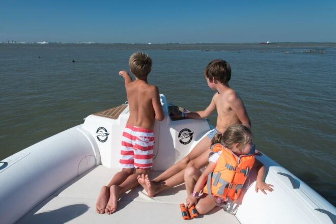 Cadzand: Seal Discovery Boat Tour With Glass of Champagne - Boat Tour Details