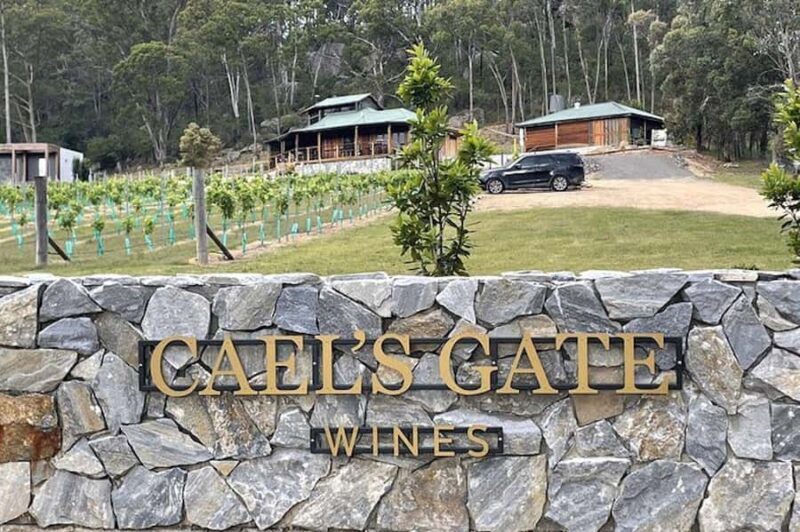 Cael's Gate Wine Tasting with Cheese and Charcuterie Board - A Quick Look at the Experience