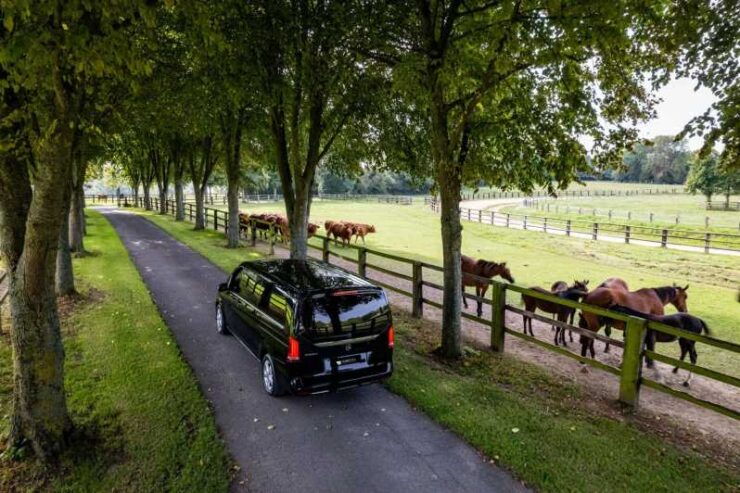 Caen: D-Day British and Canadian Sector Guided Tour - Tour Overview and Pricing