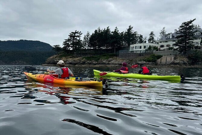 Cafes and Kayaks: Full Day Kayaking Adventure on Orcas Island - Good To Know