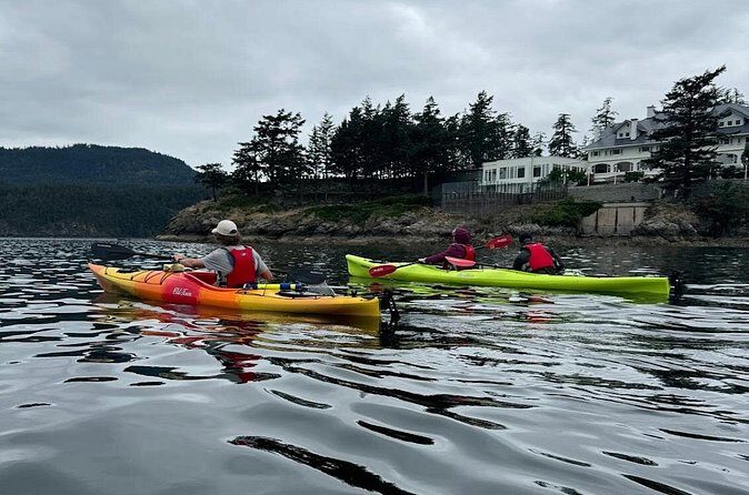 Cafes and Kayaks: Full Day Kayaking Adventure on Orcas Island - Who Will Love This Tour?