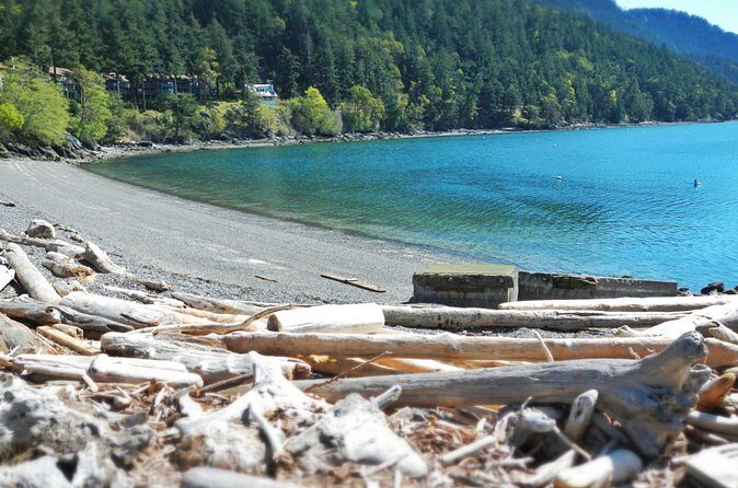 Cafes and Kayaks: Full Day Kayaking Adventure on Orcas Island - Frequently Asked Questions