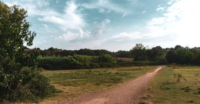 Caffarella Park: Romes Secret Urban Hiking Paradise - Guided Tour Experience