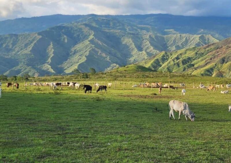 Cagayan de Oro: Sunrise Mountain Trek (BUKIDNON) - The Experience in Detail