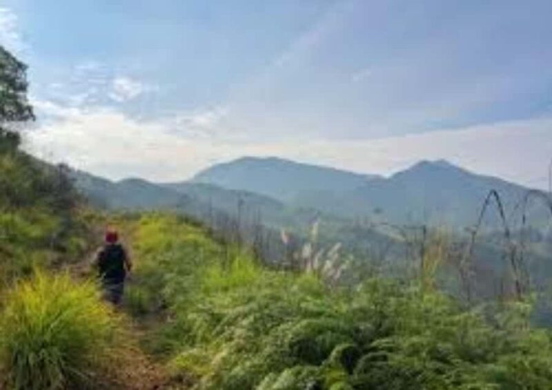 Cagayan de Oro: Sunrise Mountain Trek (BUKIDNON) - Good To Know  