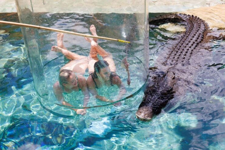 Cage Of Death" Crocodile Swim and Entry to Crocosaurus Cove - Ticket Information