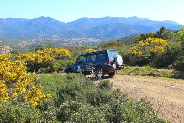 Cagliari: Between the Mountains & Sea Tour by Jeep & Dinghy - Frequently Asked Questions