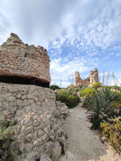 Cagliari: Bike & Hike Tour - Highlights