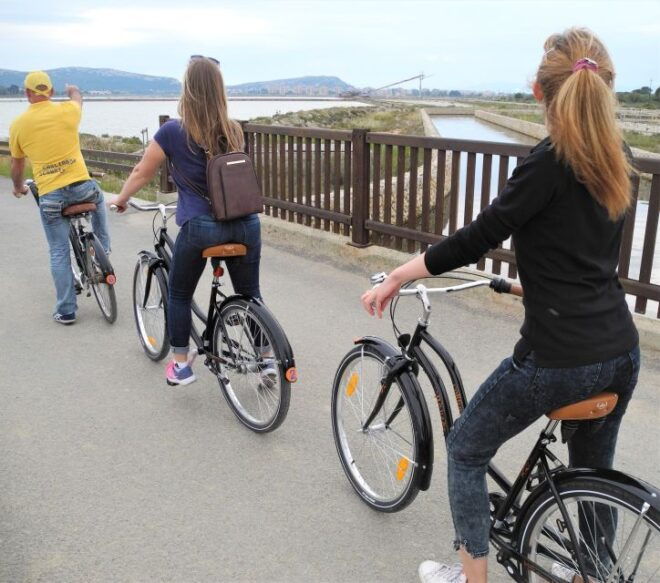 Cagliari: Bike Tour in the Flamingo Oasis - The Sum Up
