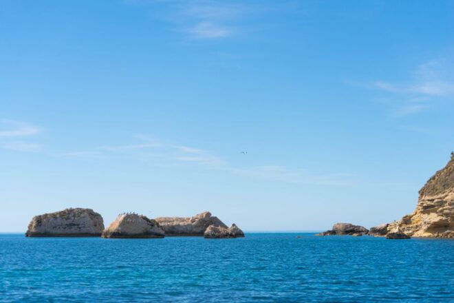 Cagliari: Boat Tour, Prosecco and Swim Stops - Included Activities