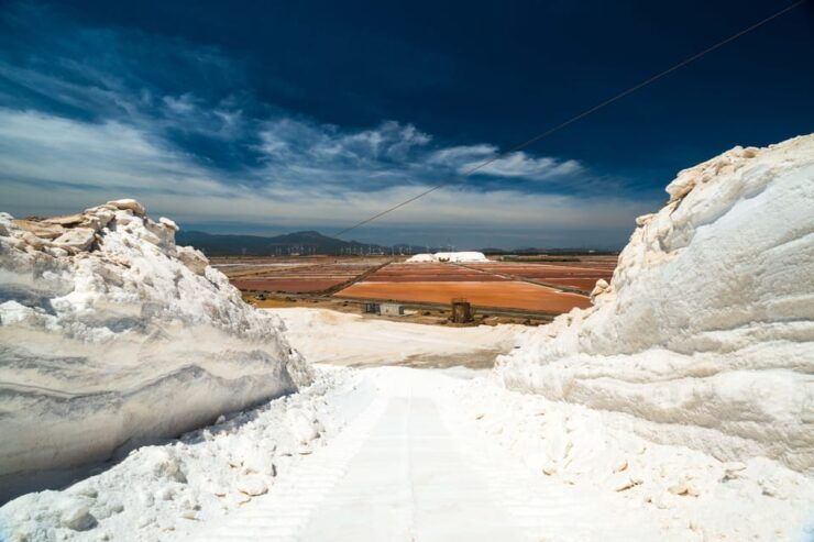 Cagliari: Conti Vecchi Salt Flats Train and Tour - Good To Know
