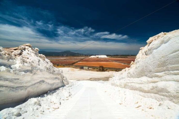 Cagliari: Conti Vecchi Salt Flats Train and Tour - Tour Experience and Highlights