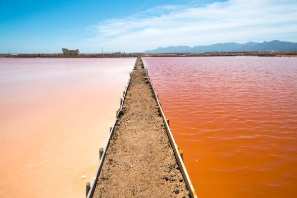 Cagliari: Conti Vecchi Salt Flats Train and Tour - Visiting the Salt Plant and Museum