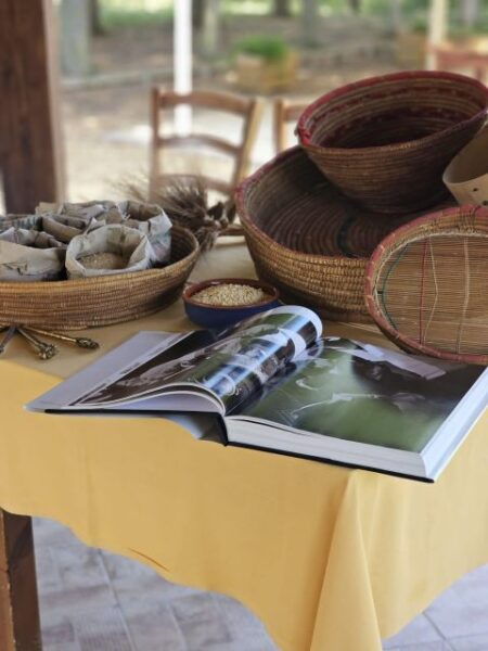 Cagliari: Cooking Class and Wine Tasting - The Sum Up