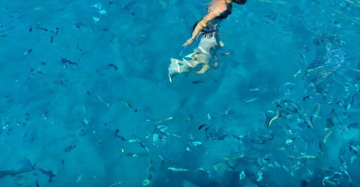 Cagliari: Devils Saddle Boat Tour, Swimming and Snorkeling - Good To Know