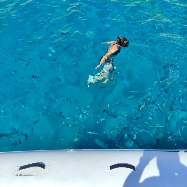 Cagliari: Devils Saddle Boat Tour, Swimming and Snorkeling - Important Information