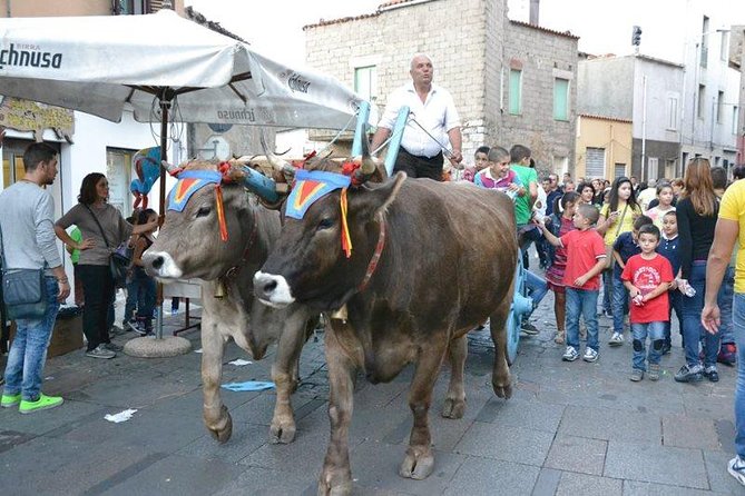 Cagliari: Discovering the Heart of Sardinia - History of Cagliari