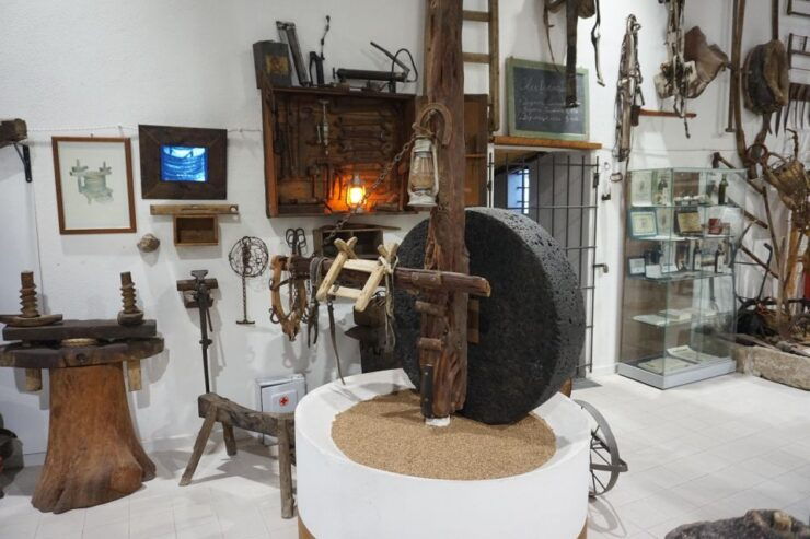 Cagliari: Exclusive Extra Virgin Olive Oil Tour at Museum - Tour Details