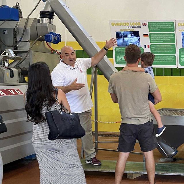 Cagliari: Exclusive Extra Virgin Olive Oil Tour at Museum - Experience Highlights