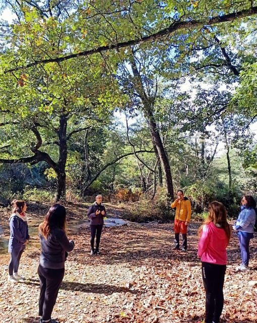Cagliari: forest bathing at Sette Fratelli Park - Exploring the Experience in Detail