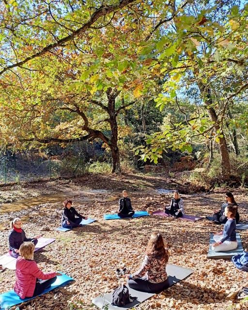 Cagliari: forest bathing at Sette Fratelli Park - Authenticity and Unique Features