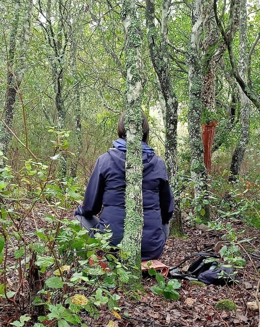 Cagliari: forest bathing at Sette Fratelli Park - The Sum Up