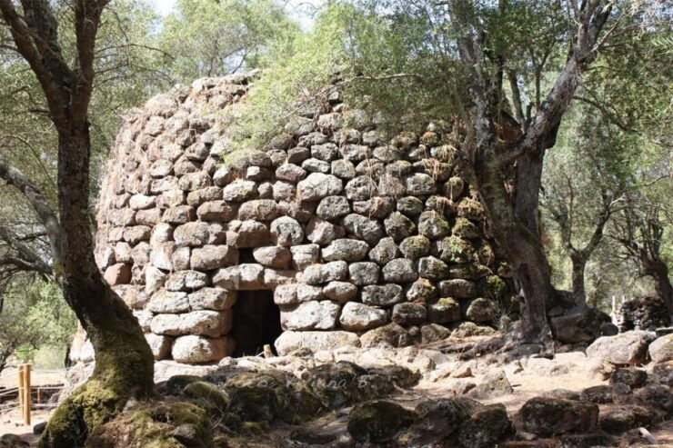 Cagliari: Full-Day Tour to Well Temple & Cabras Museum - Tour Details