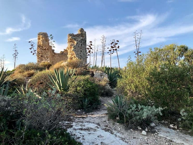 Cagliari: hike to the top of the Devil's Saddle - Exploring the Journey: What to Expect on the Hike