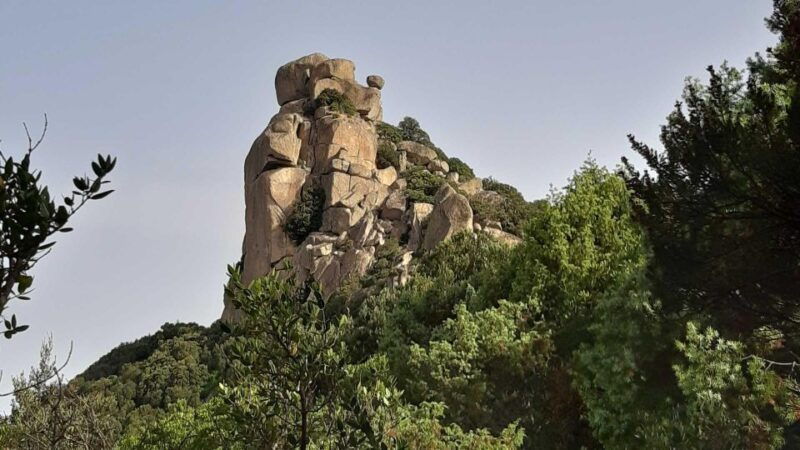Cagliari: Hiking on the Deers Trail in Sette Fratelli Park - Wildlife Encounters