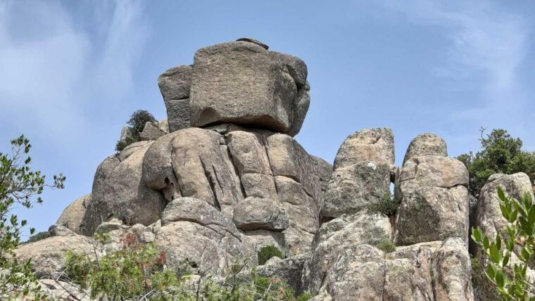 Cagliari: Hiking on the Deers Trail in Sette Fratelli Park - What to Bring