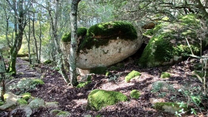 Cagliari: Hiking on the Deers Trail in Sette Fratelli Park - Pricing and Cancellation Policy