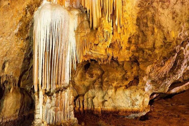 Cagliari: Is Zuddas Caves Shore Excursion - Good To Know