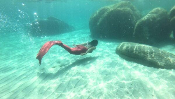 Cagliari: Mermaid Experience - Booking and Cancellation Policy