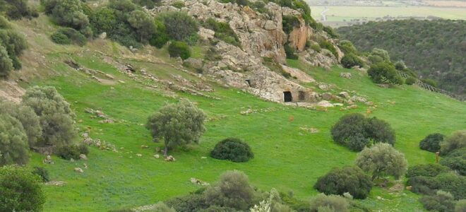 Cagliari: Necropolis of Montessu Guided Visit From Chia - Important Information