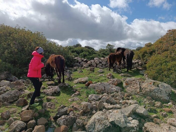Cagliari: Nuraghe Barumini and Giara Park With Wine Tasting - Important Information for Participants