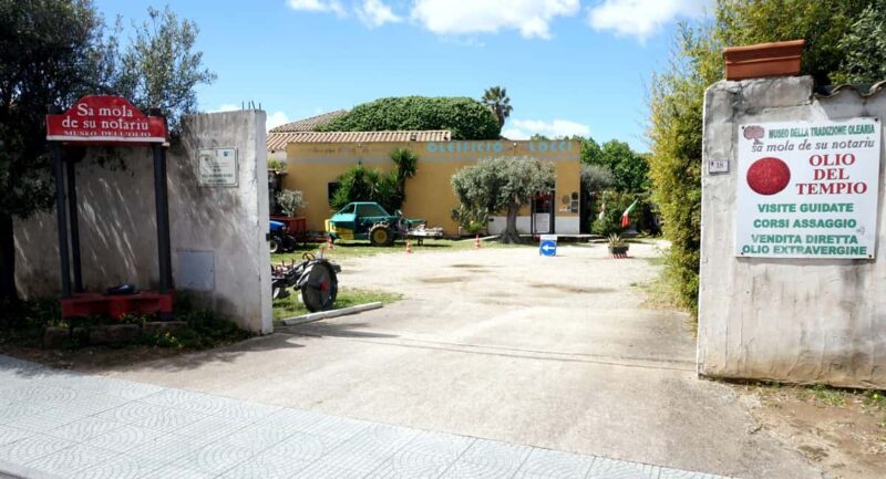 Cagliari Olive Oil Museum: Tours & Tasting a Dolianova - Exploring the Cagliari Olive Oil Museum: Tours & Tasting in Dolianova