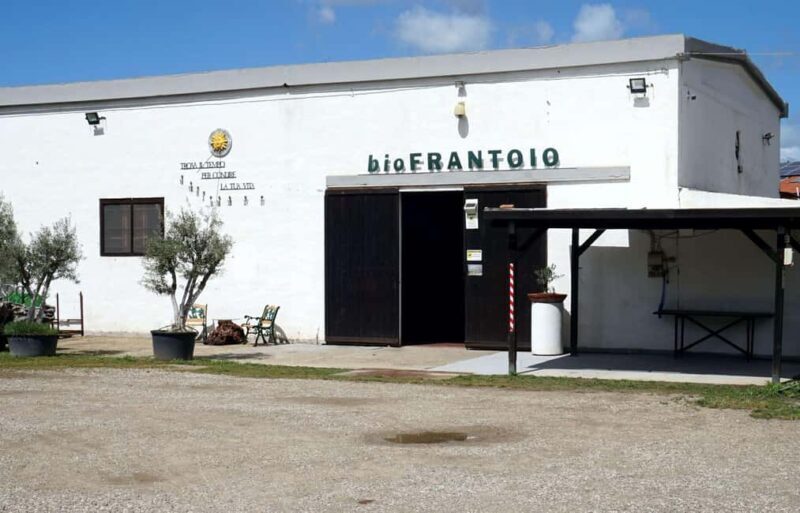 Cagliari Olive Oil Museum: Tours & Tasting a Dolianova - Good To Know