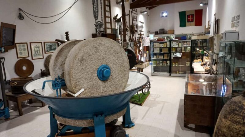 Cagliari Olive Oil Museum: Tours & Tasting a Dolianova - Who Will Love This Experience?