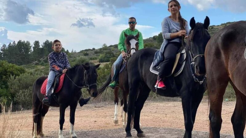Cagliari: panoramic horseback riding - Good To Know