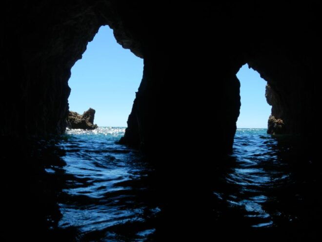 Cagliari: Professional Guided Coasteering Shore Excursion - Tour Highlights